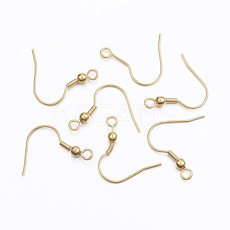 304 Stainless Steel Earring Hooks X1-STAS-L187-03G-1