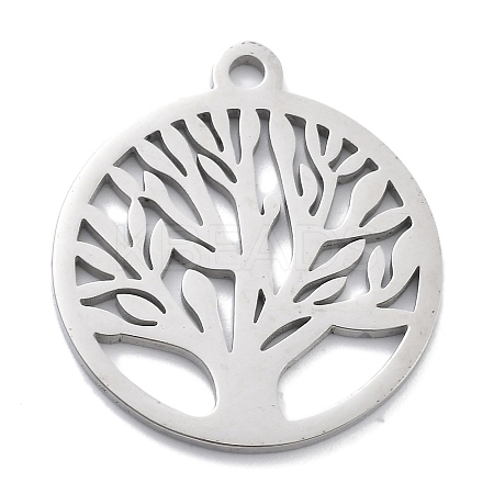 304 Stainless Steel Pendants STAS-L245-016P-1