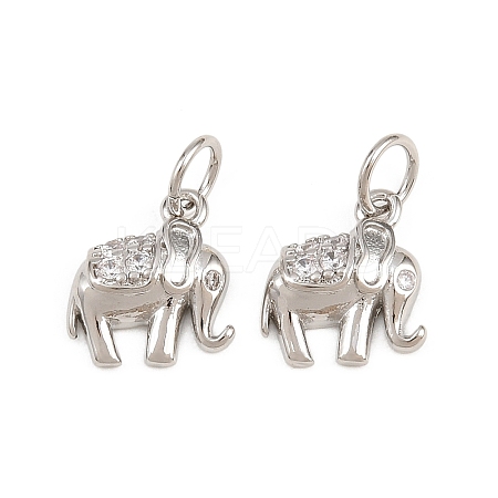 Brass Micro Pave Clear Cubic Zirconia Charms KK-H292-56B-P-1