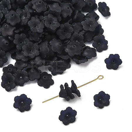 Transparent Acrylic Beads X-PL561-12-1