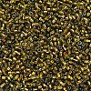 MIYUKI Delica Beads SEED-X0054-DB0604-3