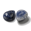 Natural Blue Spot Jasper Cabochons G-Q173-02C-18-2