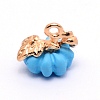 Spray Painted Zinc Alloy Charms PALLOY-TAC0022-08C-1