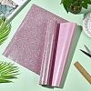 Glitter Vinyl Transfer Film DIY-NB0001-10-2