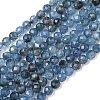 Natural Devil Blue Aquamarine Beads Strands G-P629-A02-04-2