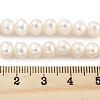 Natural Cultured Freshwater Pearl Beads Strands PEAR-C003-13F-5