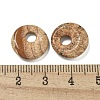 Natural Picture Jasper Donut/Pi Disc Charms G-G142-02F-3