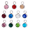 10Pcs Glass Rhinestone Charms STAS-TA0003-26K-2