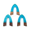 Resin & Wood Pendants WOOD-F015-16F-1