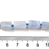 Natural Blue Lace Agate Beads Strands G-F509-63-01-5