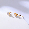 Stainless Steel Micro Pave Cubic Zirconia Stud Earring LV7016-3