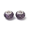 Handmade Glass European Beads LS-X-GPDL25Y-07-2