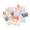 Transparent Resin & Glitter Powder Beads RESI-F073-06-1