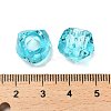 Transparent Resin European Beads RESI-B020-01E-3