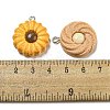 Imitation Food Opaque Resin Pendants RESI-A031-03-3