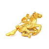 Zinc Alloy Crystal Rhinestone Brooch LS-JEWB-U010-04G-06-2