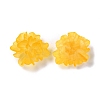 Transparent Resin Cabochons RESI-G027-01C-3