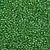 TOHO Round Seed Beads SEED-XTR11-0167-2