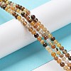Natural Petrified Wood Round Bead Strands G-P070-69-3mm-4
