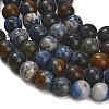 Natural Dumortierite Beads Strands G-F826-A01-10mm-3