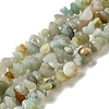 Natural Flower Amazonite Chips Beads Strands G-M205-12-01-2