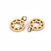 304 Stainless Steel Charms LS-STAS-S116-134G-2