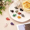 12 Pieces Gemstone Mushroom Charm Pendant Crystal Mushroom Natural Stone Pendants Mixed Color for Jewelry Necklace Earring Making Crafts JX550A-2