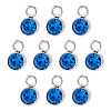 10Pcs Glass Rhinestone Charms STAS-TA0003-26E-1