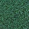 MIYUKI Round Rocailles Beads SEED-G007-RR0173-1