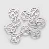 Non-Tarnish 304 Stainless Steel Charms LS-STAS-Q201-T062-1