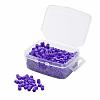 1 Box 5mm Hama Beads PE DIY Fuse Beads Refills for Kids DIY-X0047-A39-B-2