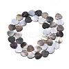 Natural Black Lip Shell Bead Strands SSHEL-N034-69A-2