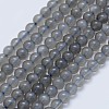 Natural Black Moonstone Beads Strands G-I206-45-4mm-1