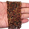 Natural Picasso Stone/Polychrome Jasper Beads Strands G-A260-A24-01-3