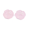 Frosted Transparent Acrylic Beads OACR-P029-19B-05-3