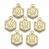 Alloy Pendants PALLOY-N157-003M-NR-1