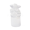 Natural Selenite Figurines DJEW-Q006-01D-1