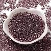 Baking Paint Glass Seed Beads SEED-K009-03B-03-2