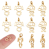 DICOSMETIC 12Pcs 2 Style 304 Stainless Steel Charms STAS-DC0008-70-1