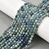 Natural Kyanite/Cyanite/Disthene Beads Strands G-G259-D04-4mm-1