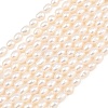 Natural Cultured Freshwater Pearl Beads Strands PEAR-D003-01D-05-2