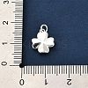 925 Sterling Silver Charms FIND-Z069-04S-C-4