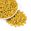 Picasso Glass Seed Beads SEED-N010-01B-1