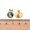 304 Stainless Steel Natural Paua Shell Stud Earrings EJEW-Z103-02G-01-5