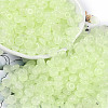 Transparent Colours Glass Seed Beads SEED-P008-01B-03-1