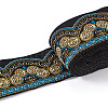 Ethnic Style Embroidery Polyester Ribbons SK-TAC0001-02-10