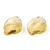 Transparent Handmade Lampwork Beads LAMP-T011-17-B04-2