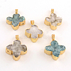 Dyed Natural Druzy Agate Pendants with Golden Plated Iron Findings G-R275-154-1