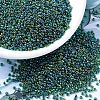 MIYUKI Round Rocailles Beads X-SEED-G007-RR0344-1