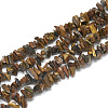 Natural Tiger Eye Beads Strands X-G-S315-11-1
